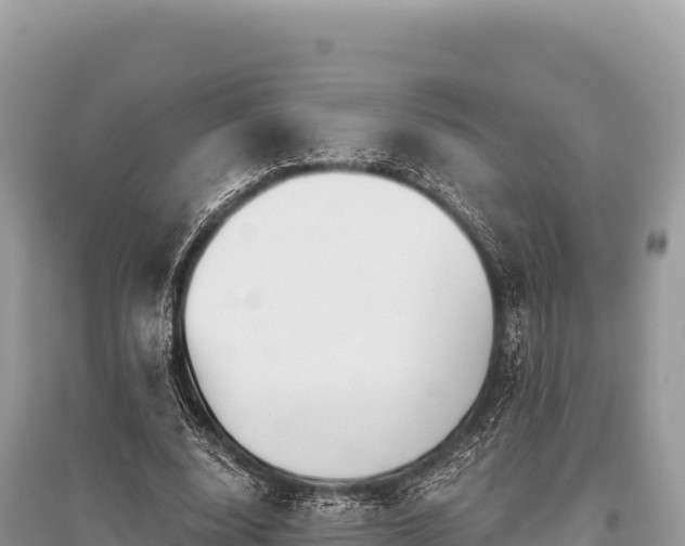 X0000096180632200801251217