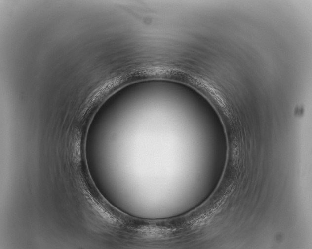 X0000096180633200801251217