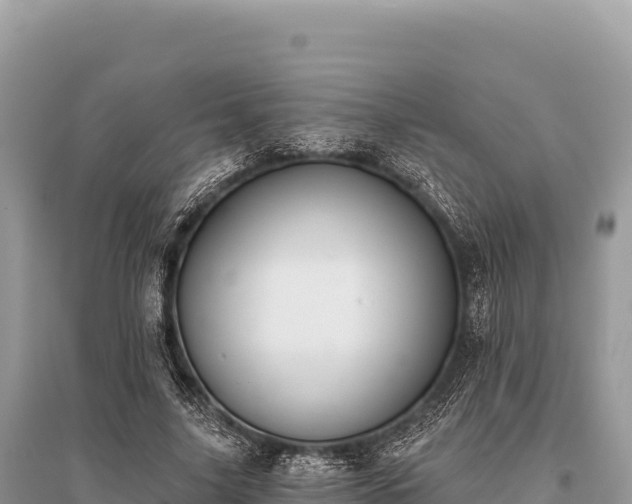 X0000096180635200801251217