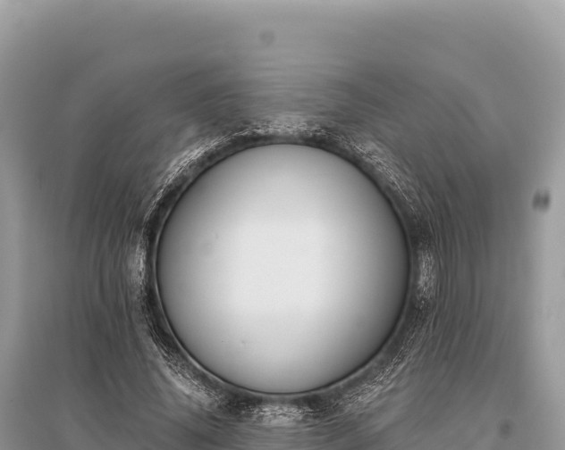 X0000096180636200801251217