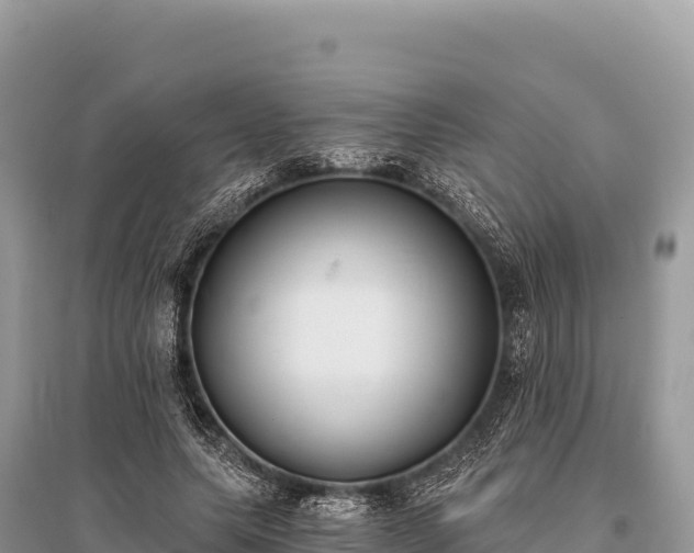 X0000096180639200801251217