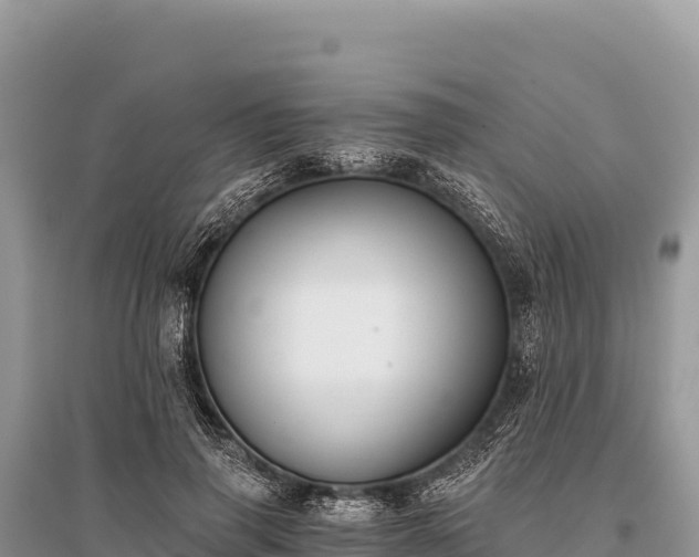X0000096180645200801251217