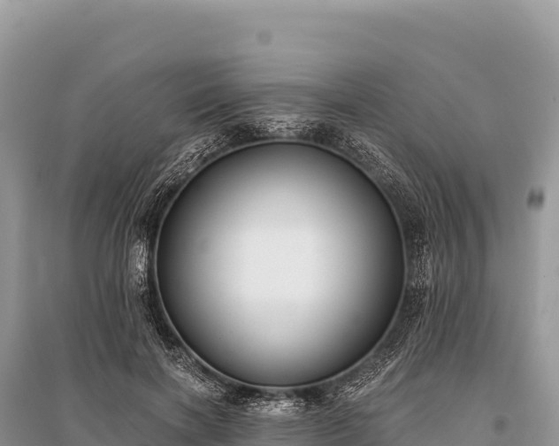 X0000096180646200801251217