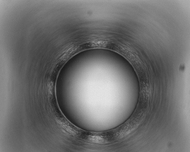 X0000096180649200801251217
