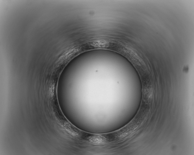 X0000096180652200801251217