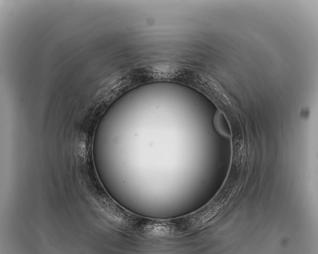 X0000096180655200801251217
