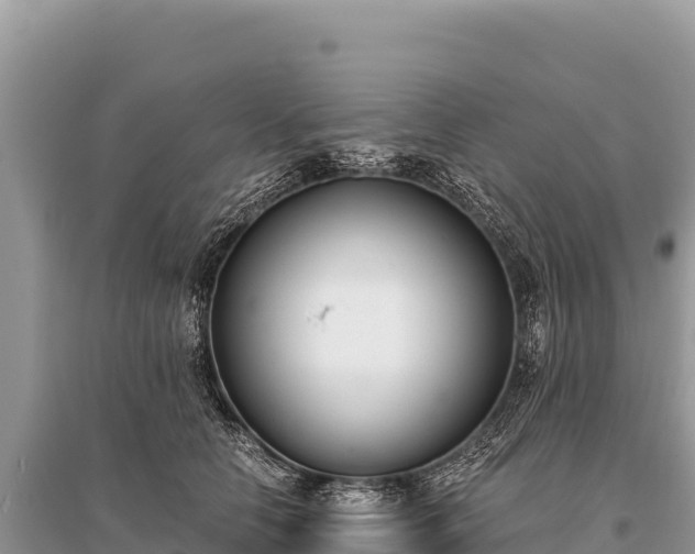 X0000096180658200801251217