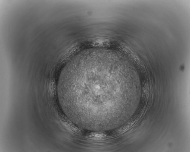 X0000096180659200801251217