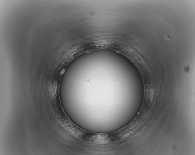 X0000096180660200801251217