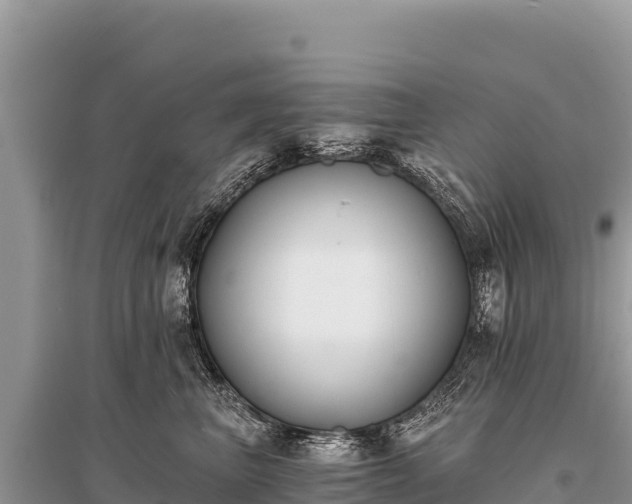 X0000096180667200801251217
