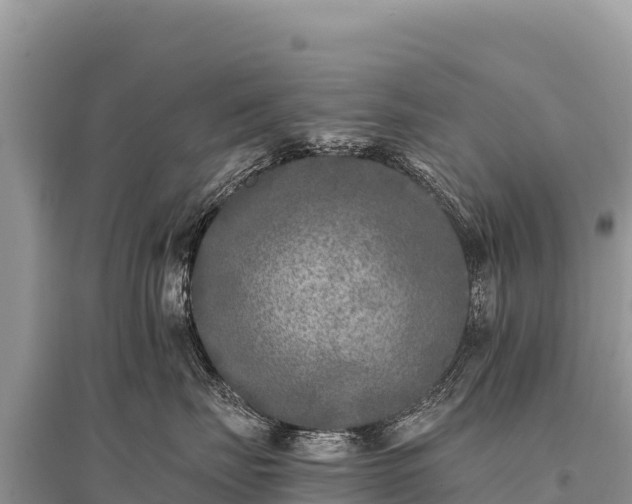 X0000096180671200801251217