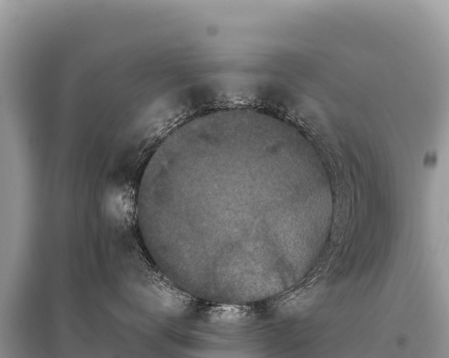 X0000096180672200801251217