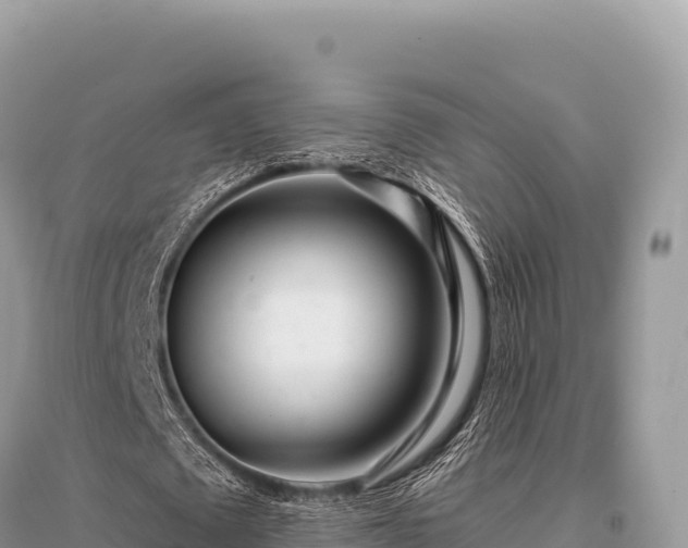X0000096180673200801251216