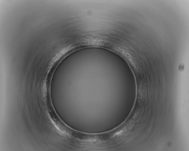 X0000096180674200801251216