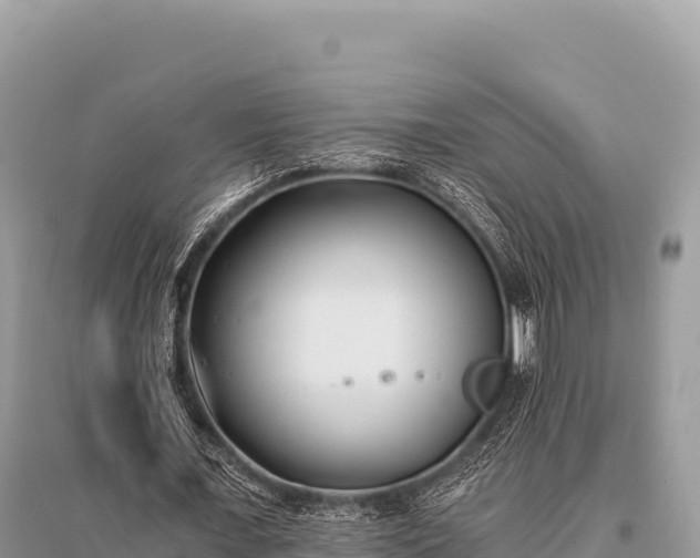 X0000096180675200801251216