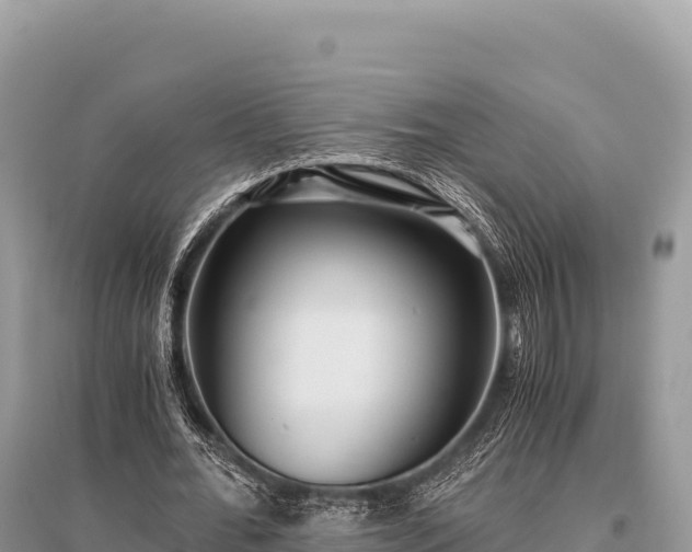 X0000096180676200801251216