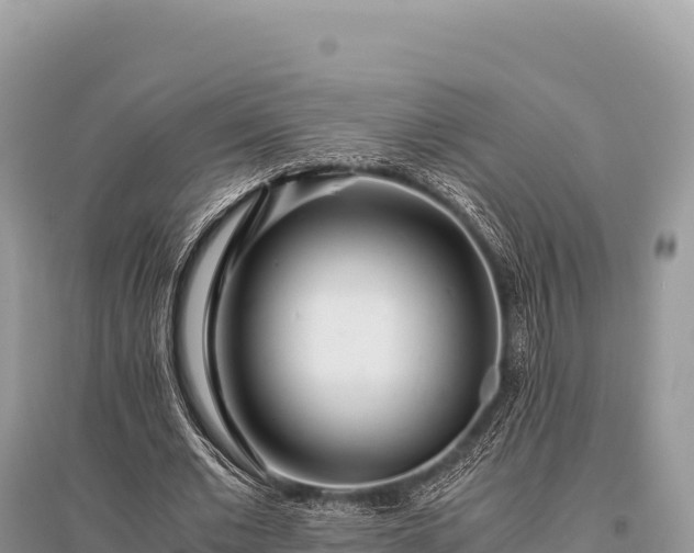 X0000096180677200801251216