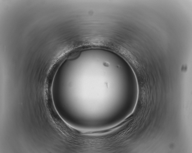 X0000096180680200801251216