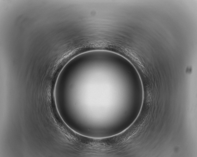 X0000096180681200801251216