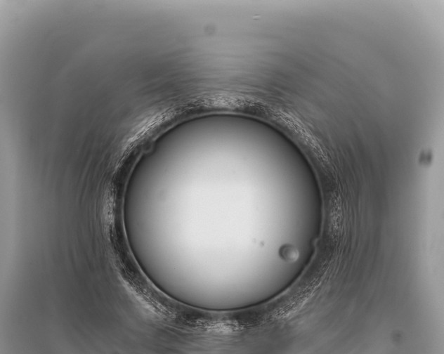 X0000096180683200801251216
