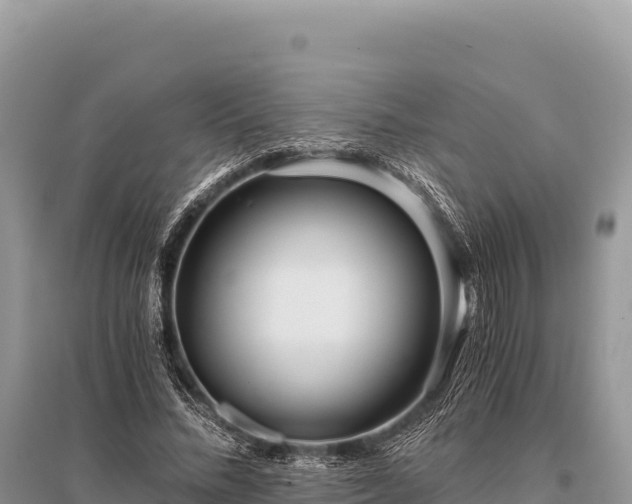 X0000096180684200801251216