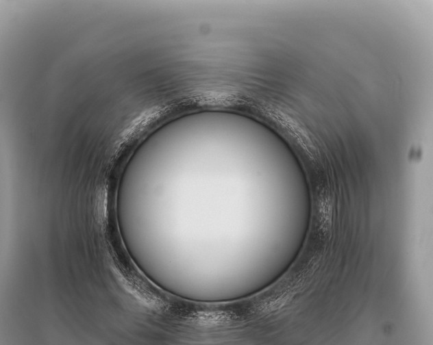 X0000096180686200801251216