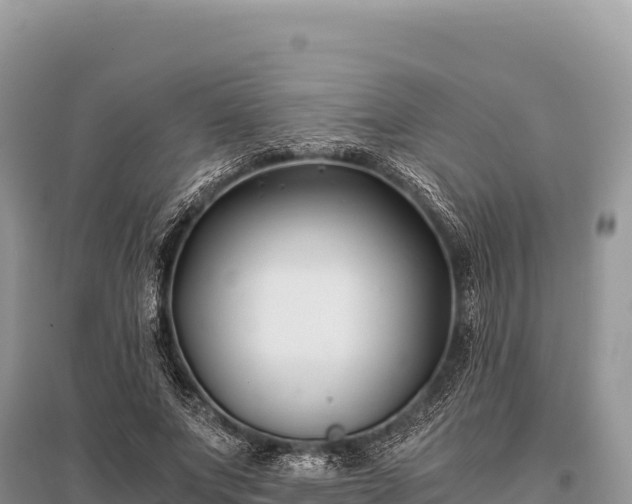 X0000096180687200801251216