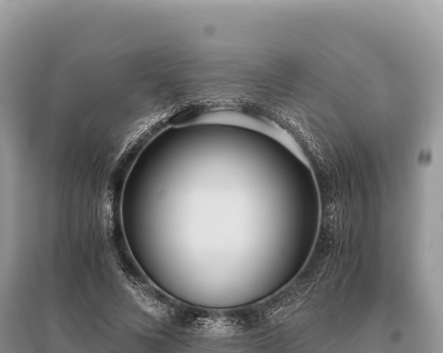 X0000096180688200801251216