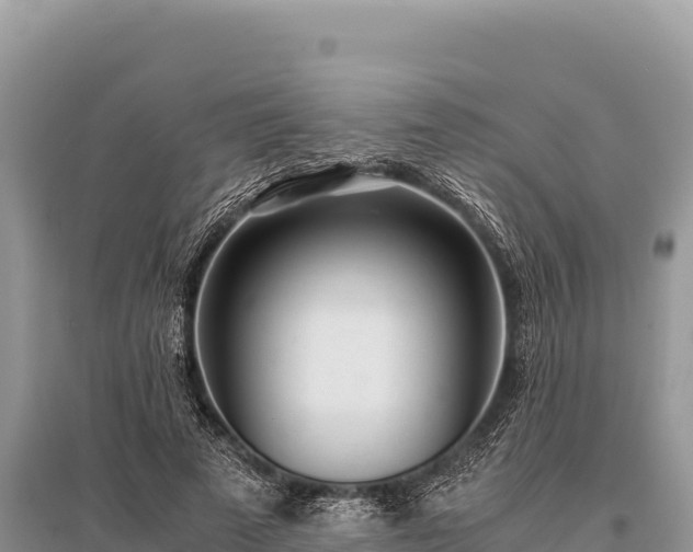 X0000096180689200801251216