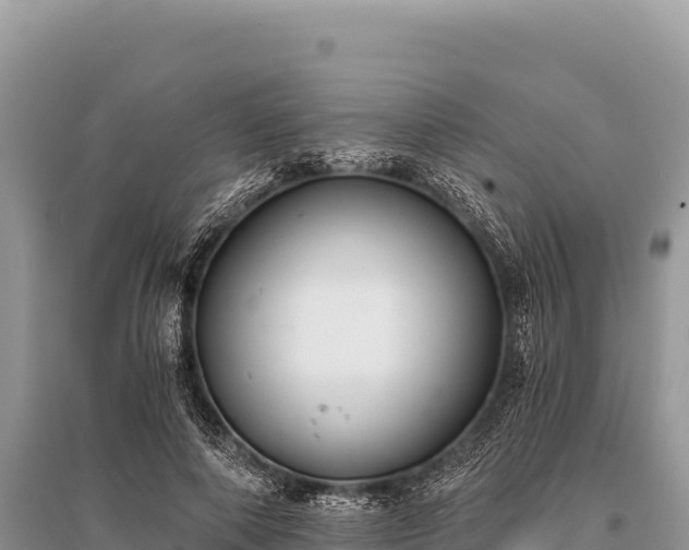 X0000096180690200801251216