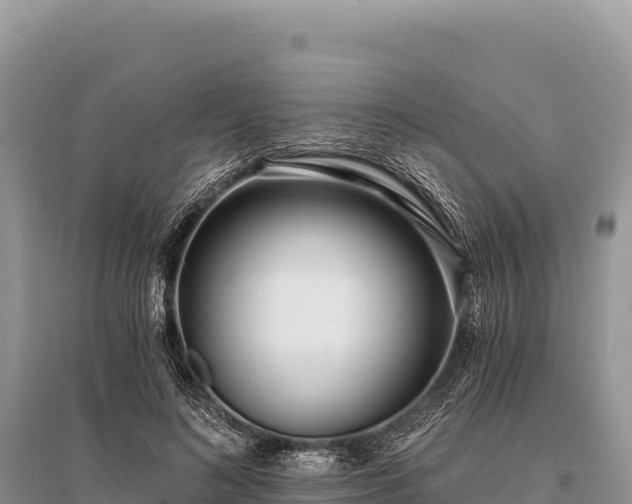X0000096180692200801251216
