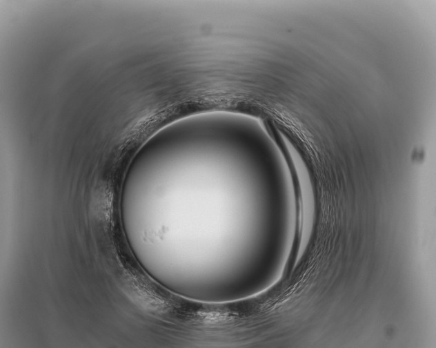 X0000096180693200801251216