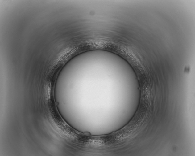 X0000096180694200801251216