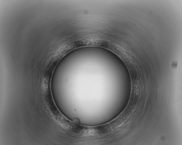 X0000096180695200801251216