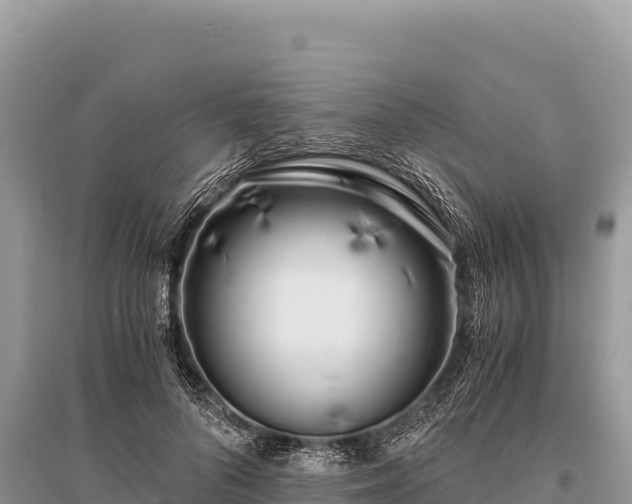 X0000096180696200801251216