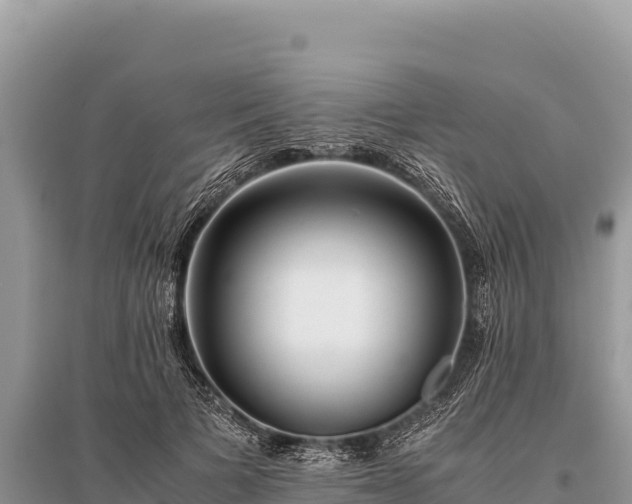 X0000096180697200801251216