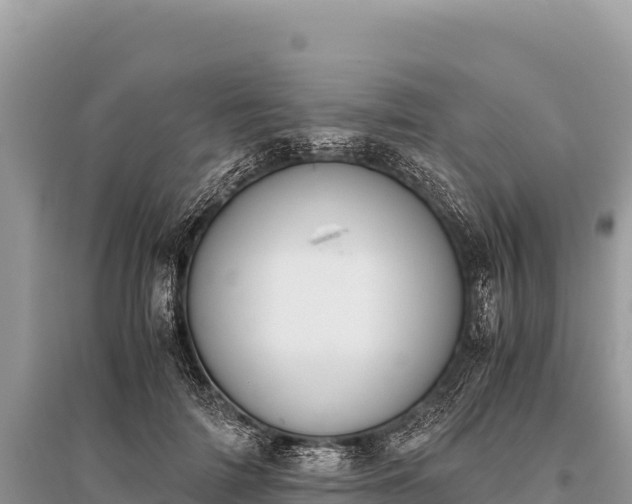 X0000096180698200801251216