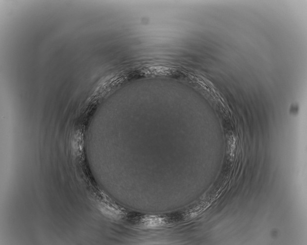 X0000096180701200801251216
