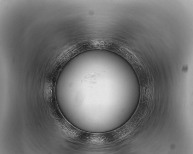 X0000096180702200801251216
