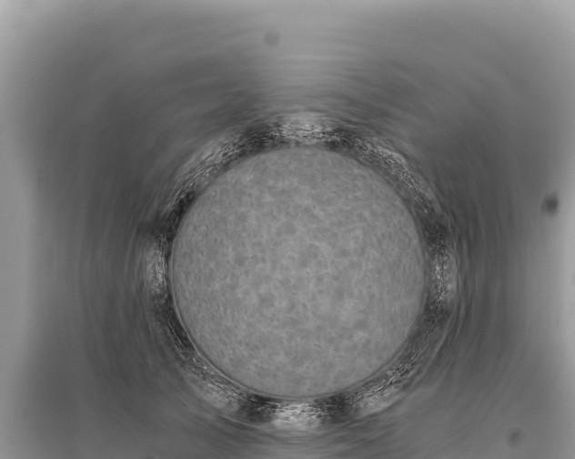 X0000096180705200801251216