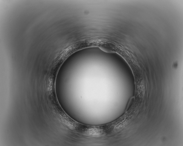 X0000096180708200801251216