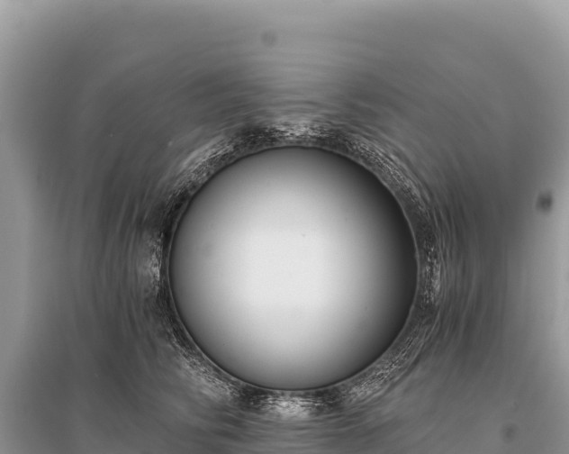 X0000096180710200801251216