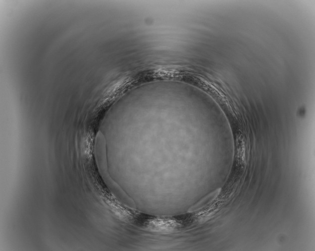 X0000096180712200801251216