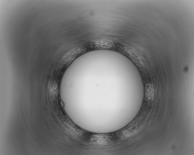X0000096180713200801251216