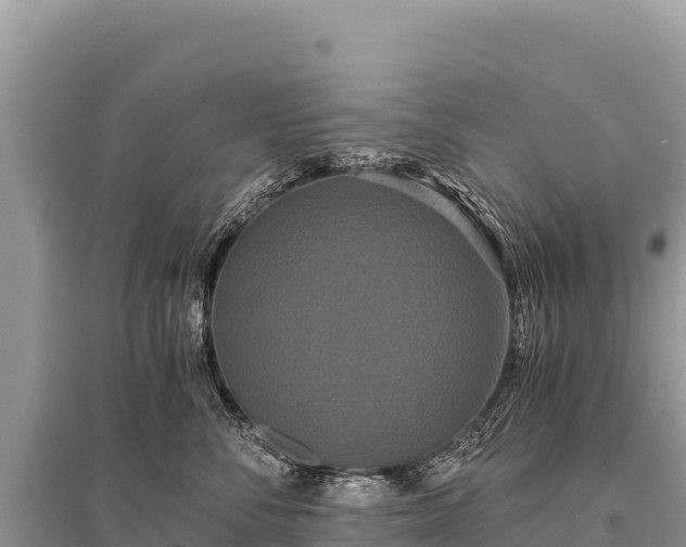 X0000096180716200801251216