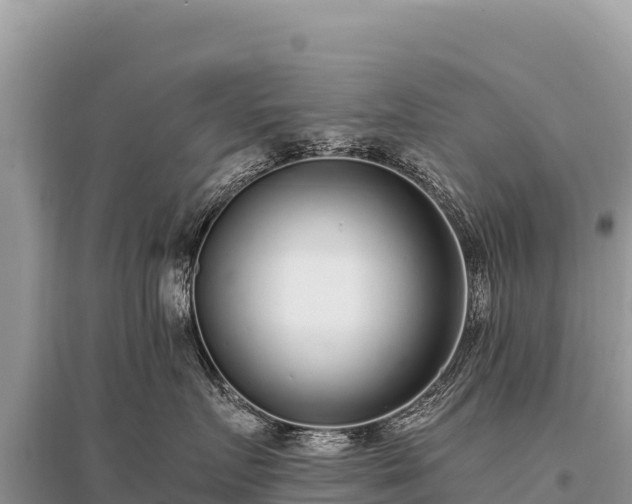 X0000096180719200801251216