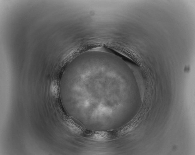 X0000096180720200801251216