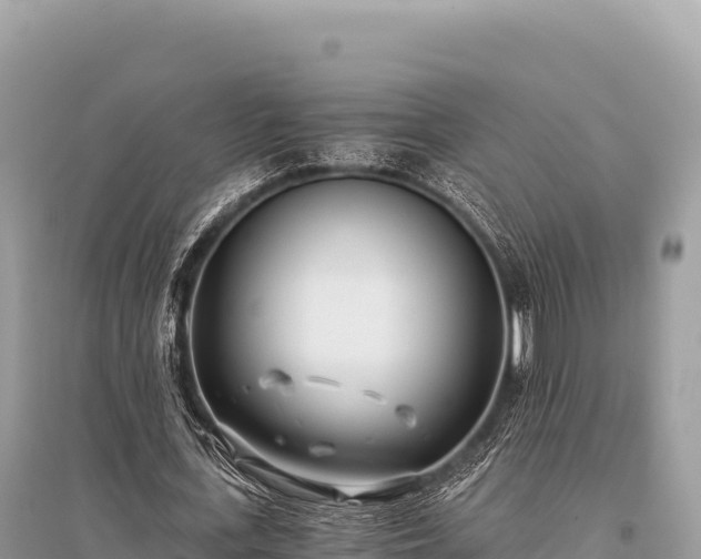 X0000096180723200801251215