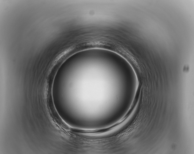 X0000096180724200801251215