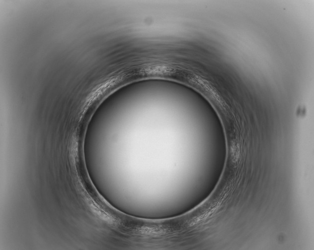 X0000096180725200801251215